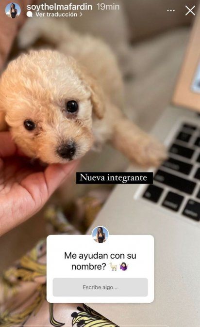 Thelma Fardin mostró a su nueva compañía.