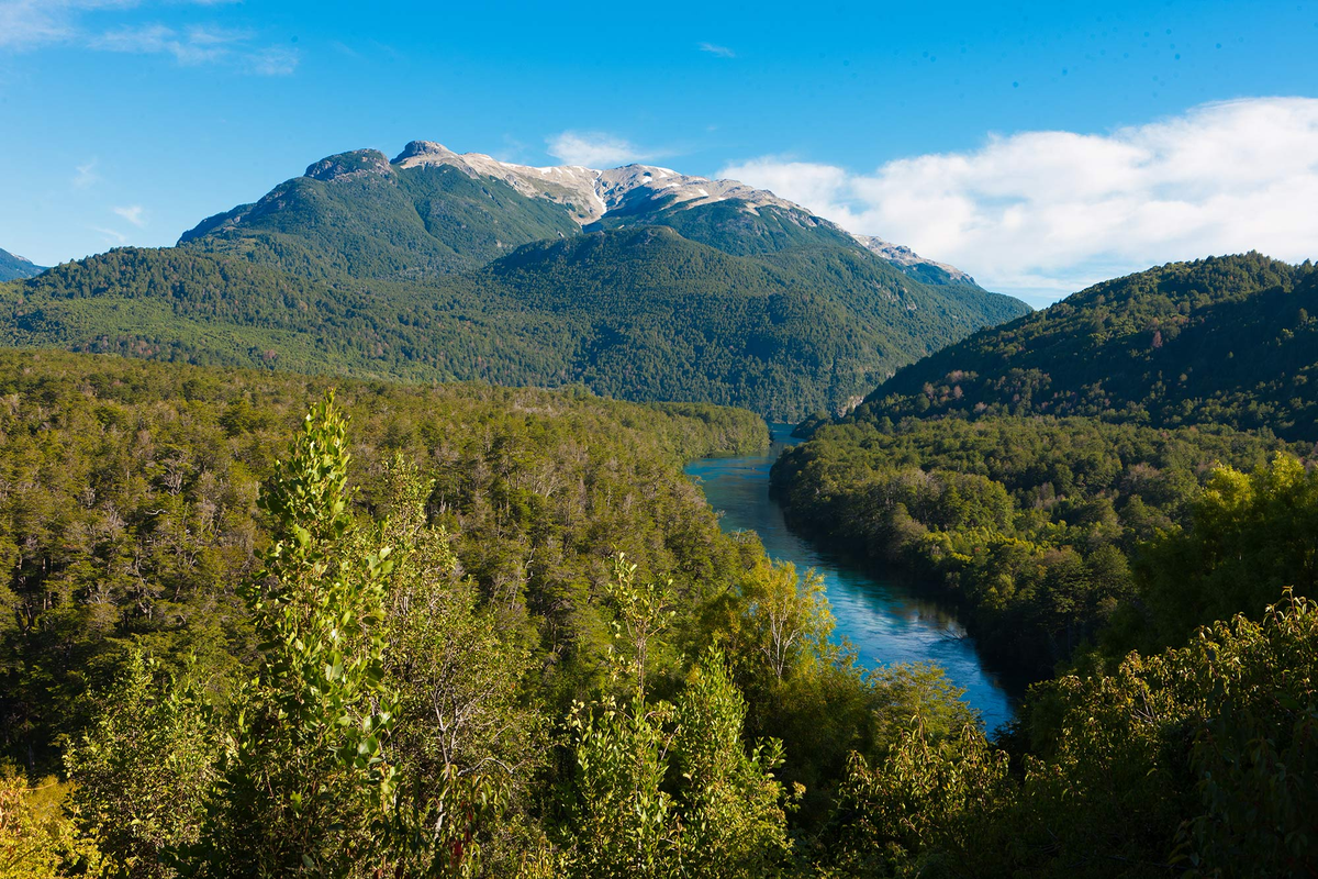 Chubut: Parque Nacional Los Alerces