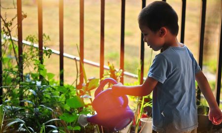 Las plantas y los niños pueden ser grandes compañeros. Las plantas y los niños pueden ser grandes compañeros.
