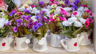 Las plantas que cambian de color en otoño y transforman tu casa o jardín sin esfuerzo
