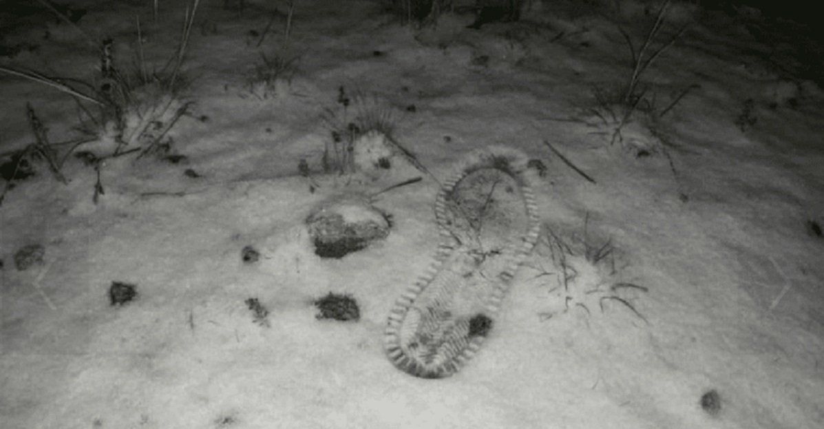 Foto de Twitter - @traslasierra_n