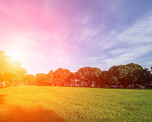 Equinoccio de primavera: ¿por qué la primavera comienza el 23 de septiembre? Equinoccio de primavera: ¿por qué la primavera comienza el 23 de septiembre?