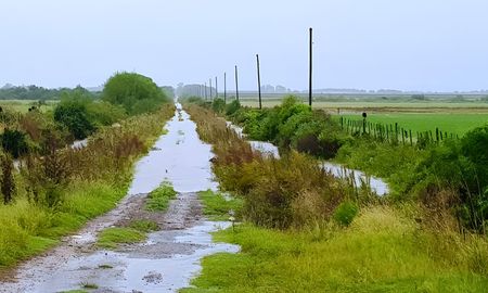 mucha lluvia en santa fe: se reprograman jornadas a campo, charlas y remates mucha lluvia en santa fe: se reprograman jornadas a campo, charlas y remates