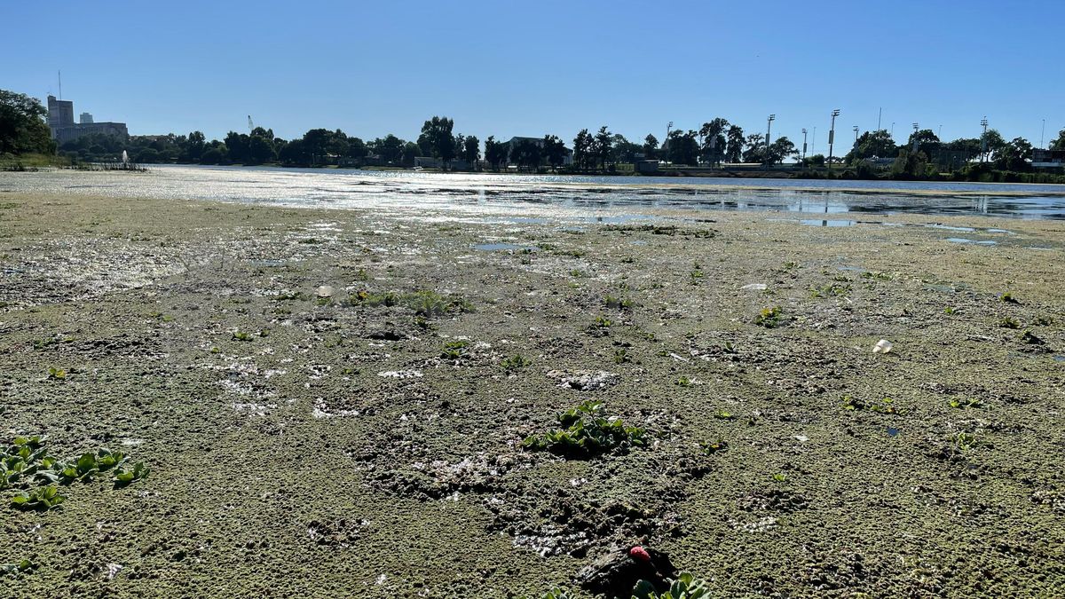 Así está el lago del Parque del Sur en los primeros días del otoño. Así está el lago del Parque del Sur en los primeros días del otoño.