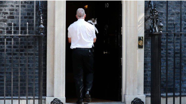 El gato de Theresa May logró vulnerar la seguridad de Donald Trump