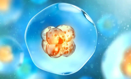 Una mujer usará los embriones concebidos con su ex pareja en un tratamiento de fertilidad. Una mujer usará los embriones concebidos con su ex pareja en un tratamiento de fertilidad.