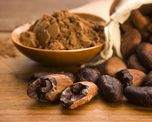 este es el inesperado origen del chocolate y el primer lugar donde se cosecho