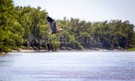 Escapada al Parque Nacional Islas de Santa Fe, un maravilloso destino natural. Escapada al Parque Nacional Islas de Santa Fe, un maravilloso destino natural.