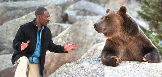 Hablar con los animales: el método que propone la ciencia