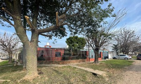 Una gran cantidad de ramas habían quedado acumuladas tras una poda. Tras contactarse con AIRE, Silvia logró que la Municipalidad se ocupe del problema. Una gran cantidad de ramas habían quedado acumuladas tras una poda. Tras contactarse con AIRE, Silvia logró que la Municipalidad se ocupe del problema.