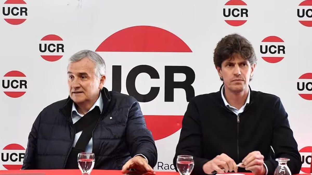 Gerardo Morales y Martín Lousteau se habían expresado en contra del acercamiento de Mauricio Macri a Javier Milei.