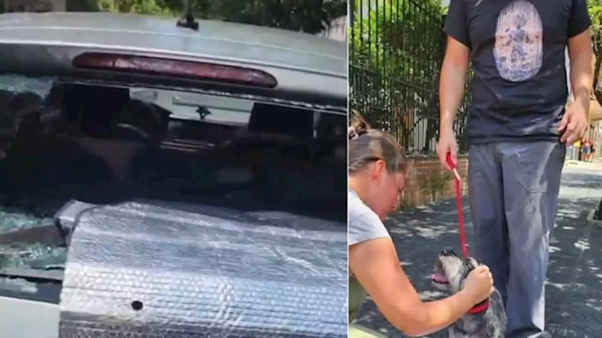Dejó a su perro encerrado en el auto con 40°: le rompieron el vidrio y la denunciaron por maltrato