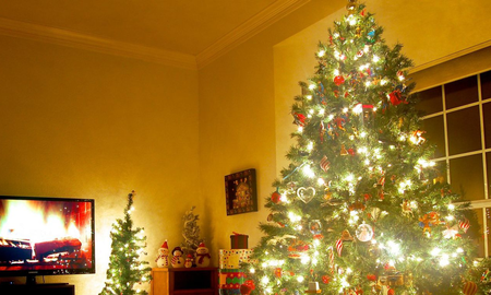 Árbol de Navidad: por qué recomiendan poner las luces en vertical y no alrededor