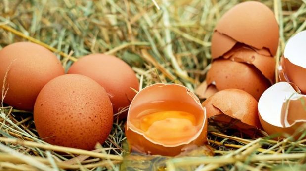 Salmonelosis: el ministerio de Salud de Jujuy informó que se encuentra en análisis un posible brote de casos&nbsp;