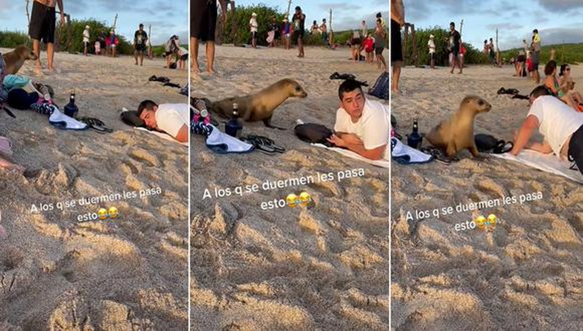 Como se puede observar en el video, el hombre se queda dormido hasta que lo despertaron de una peculiar forma.