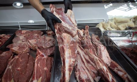 El Gobierno nacional decidió suspender por 30 días las exportaciones de carne vacuna, una medida orientada a contener la presión sobre los precios El Gobierno nacional decidió suspender por 30 días las exportaciones de carne vacuna, una medida orientada a contener la presión sobre los precios