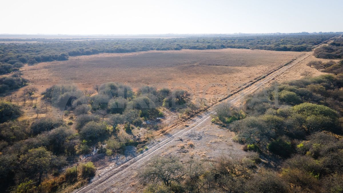Entre los árboles del monte del Espinal se forman estos
