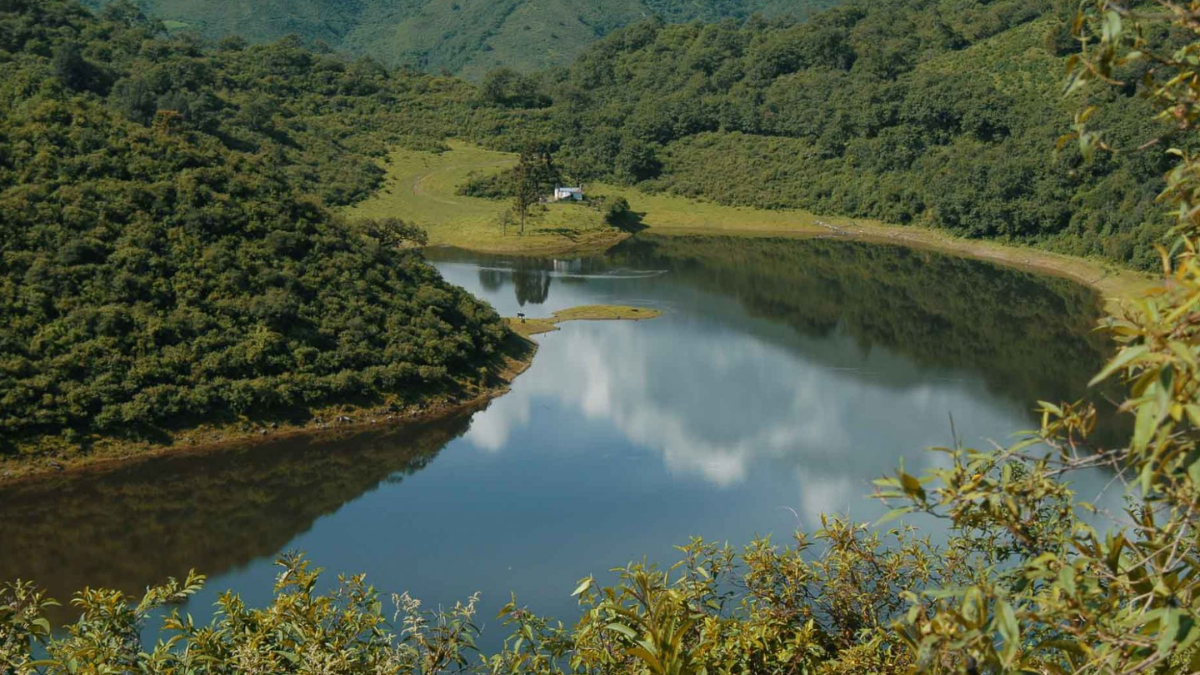 La Laguna de Yala es un sitio cuenta con 5 senderos de dificultad media y baja. La Laguna de Yala es un sitio cuenta con 5 senderos de dificultad media y baja.