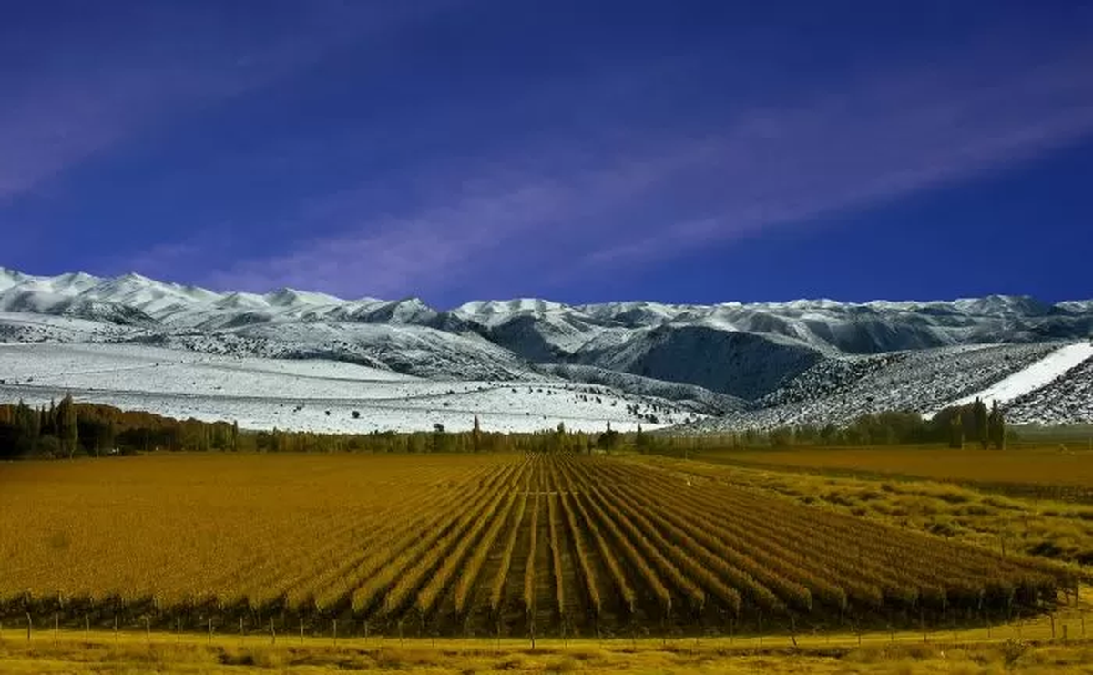 San Rafael, en la provincia de Mendoza, es un destino ideal para quienes disfrutan de pasar tiempo al aire libre.