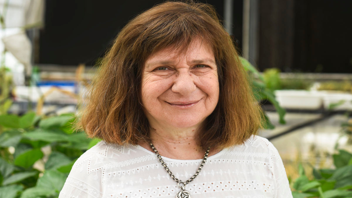 Raquel Chan ganó el Premio Fundación Bunge y Born 2023. Raquel Chan ganó el Premio Fundación Bunge y Born 2023.