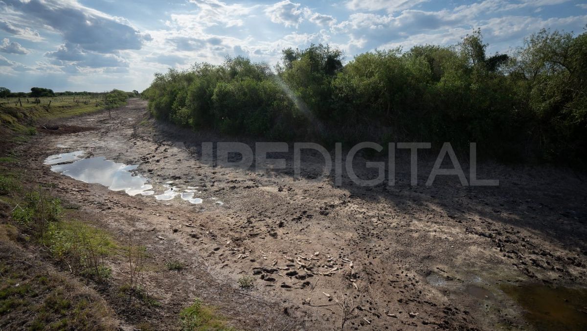 El río Salado no tiene agua en Logroño