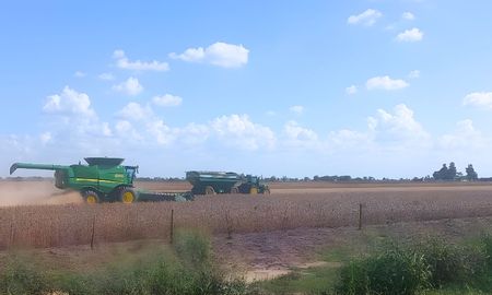 comenzo la cosecha de soja y los primeros rendimientos anticipan una gran campana comenzo la cosecha de soja y los primeros rendimientos anticipan una gran campana