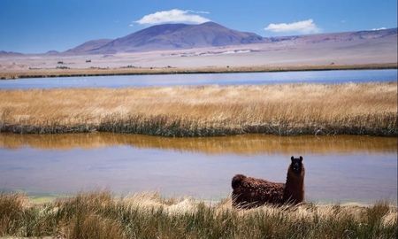 Cuándo empiezan las vacaciones de invierno en la provincia de Catamarca Cuándo empiezan las vacaciones de invierno en la provincia de Catamarca