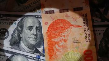 Inflación y dólar tras las elecciones: qué proyectan las consultoras para 2025 y 2026