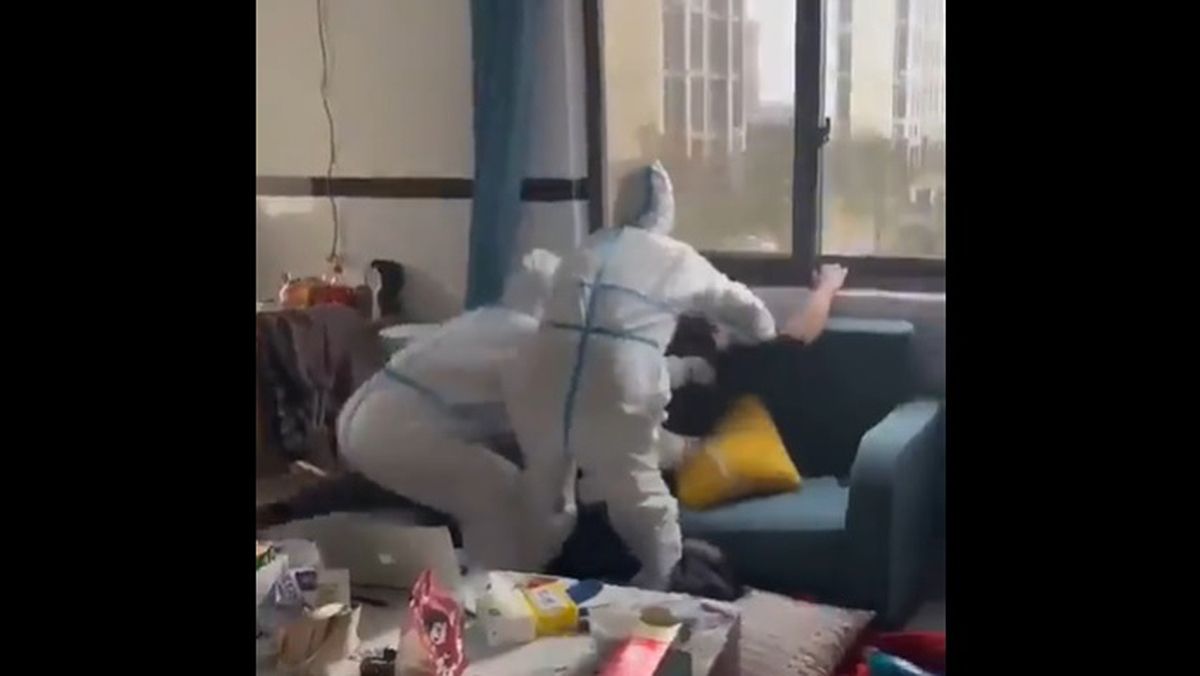 Las imágenes se volvieron virales. La persona pide que no sean violentos