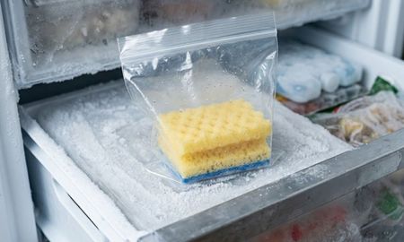 dejar una esponja en el freezer: para que sirve y por que lo recomiendan dejar una esponja en el freezer: para que sirve y por que lo recomiendan