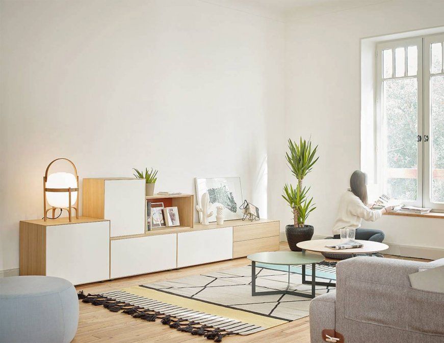 Tienen una buena capacidad para adaptarse&nbsp;